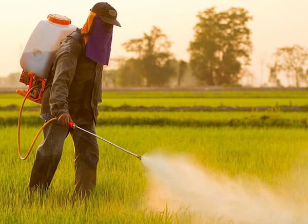 تصویر 4 از خرید سمپاش کشاورزی دستی + قیمت فروش استثنایی